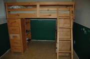 Trendwood Bunkhouse Bronco Loft bed/desk/dresser