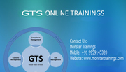 SAP GTS Training in Online