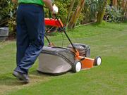 Residential Lawn Mowing Services
