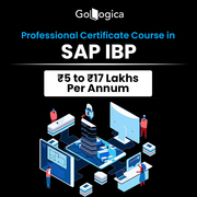 SAP Integrated Business Planning (IBP) Training & Certification 