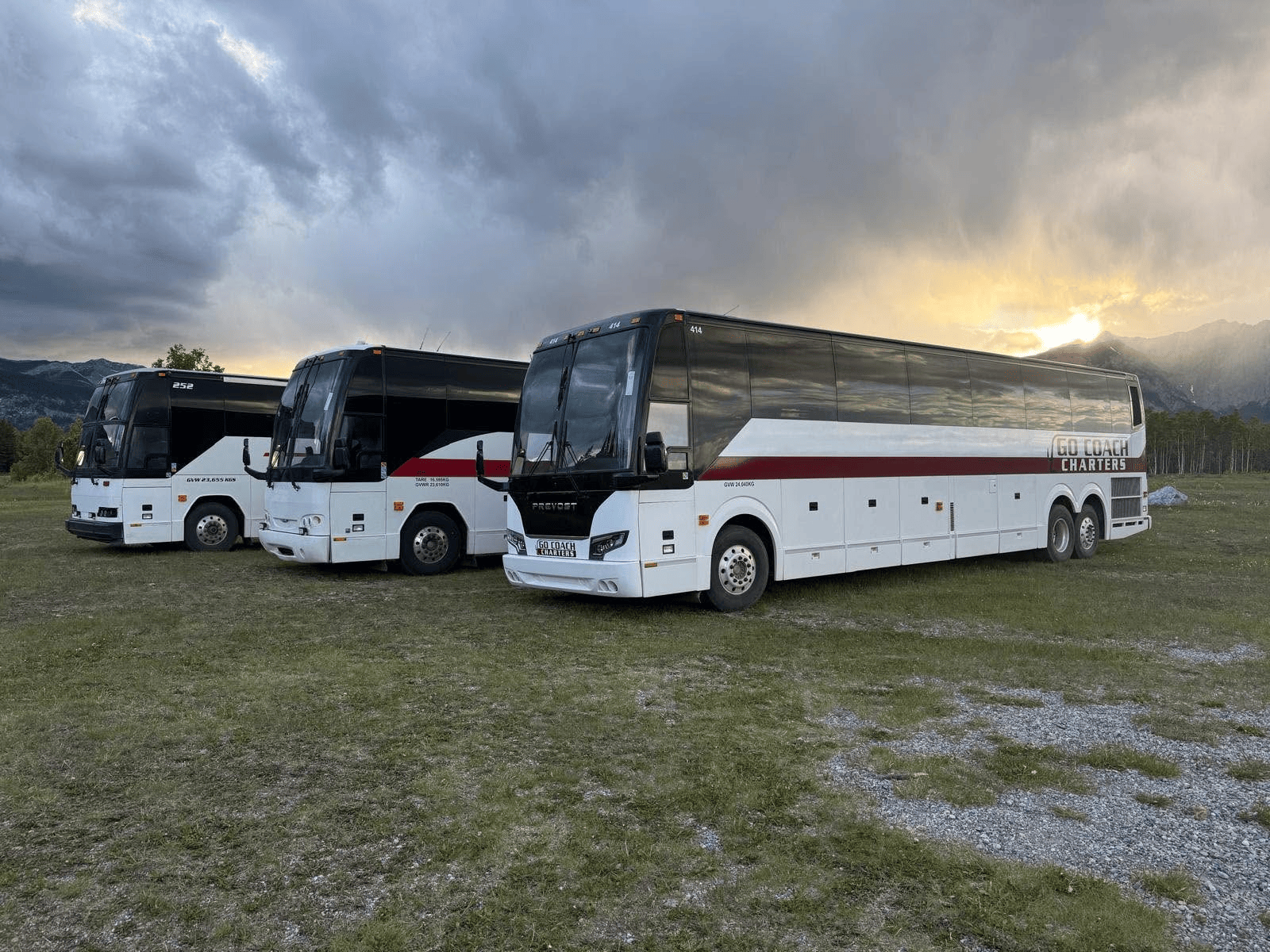 Charter Bus Transportation for Group Tours and Special Occasions